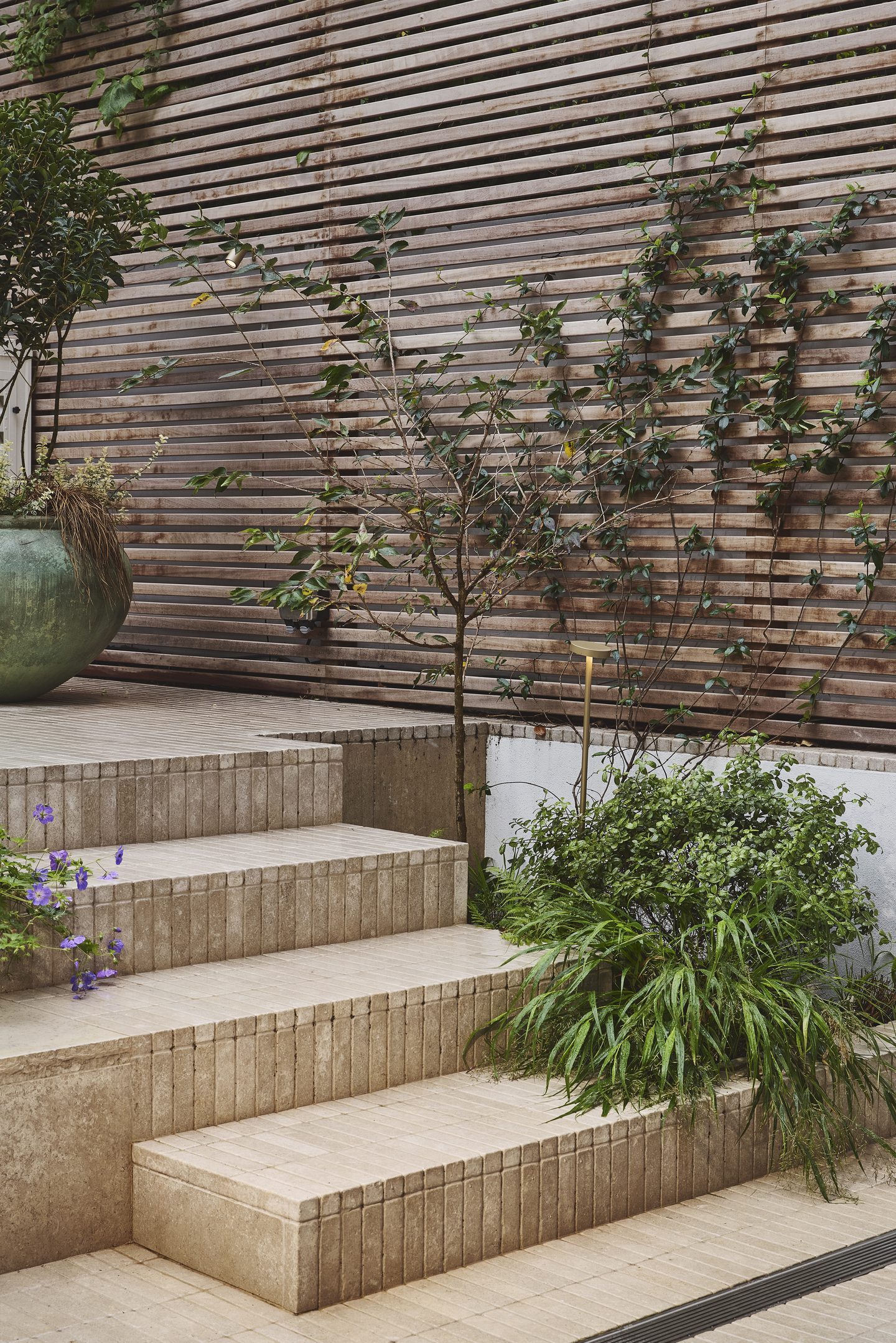 Garden with travertine steps, slatted screening and mature planting