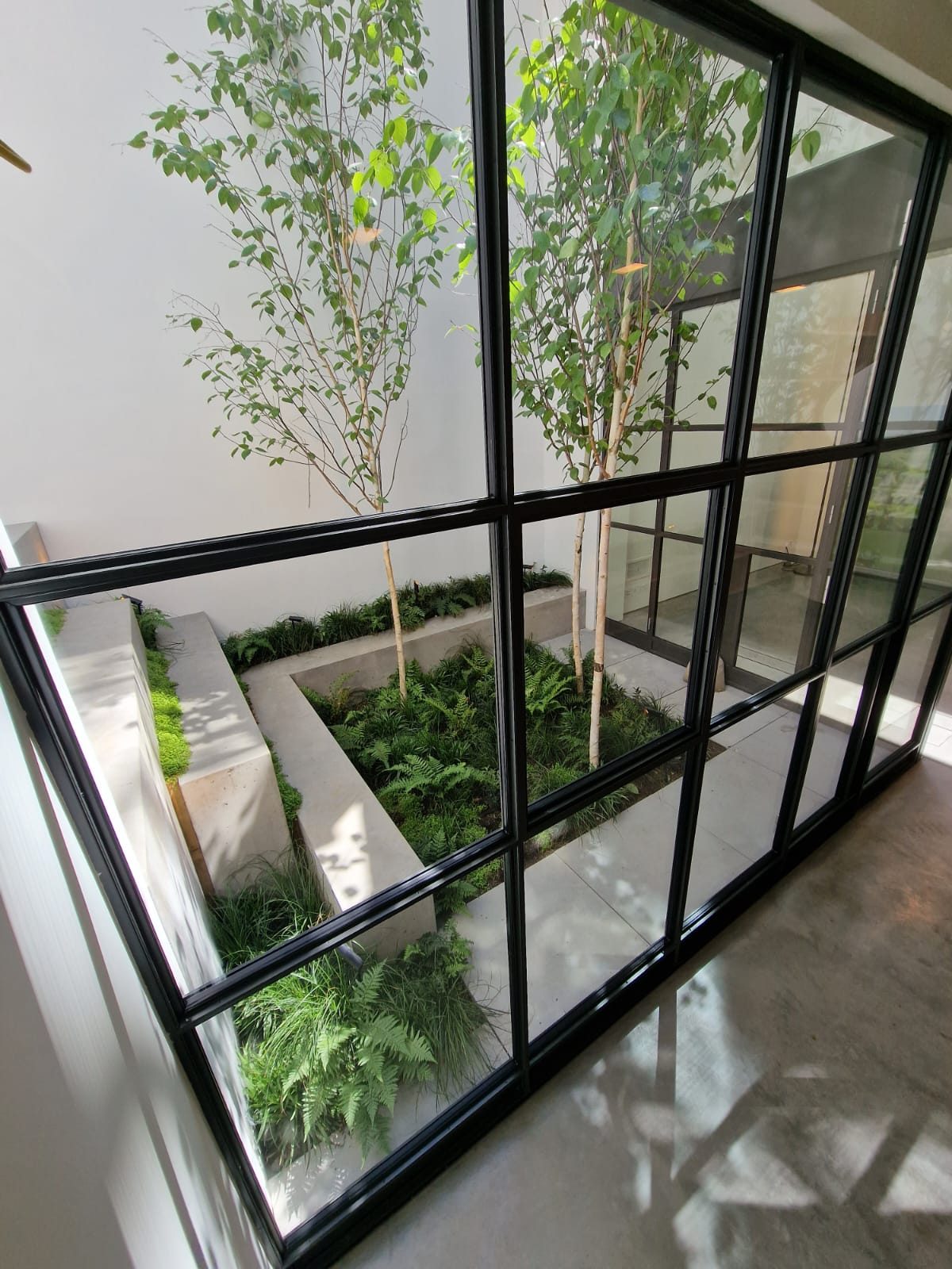 Steel-framed glazing looking onto the planted courtyard